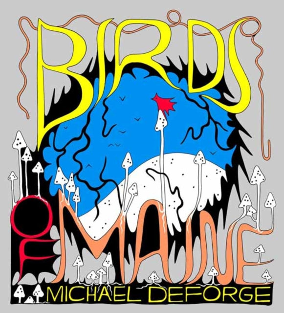 Birds Of Maine By Deforge, Michael