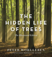 Hidden Life Of Trees: The Illustrated E By Wohlleben, Peter