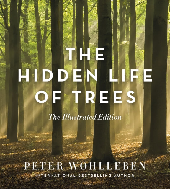 Hidden Life Of Trees: The Illustrated E By Wohlleben, Peter
