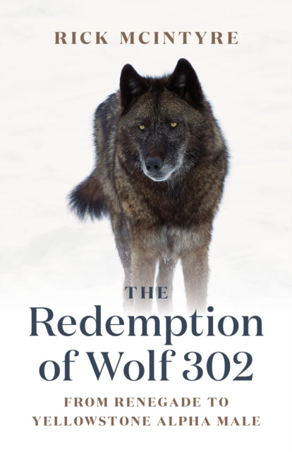 Redemption Of Wolf 302