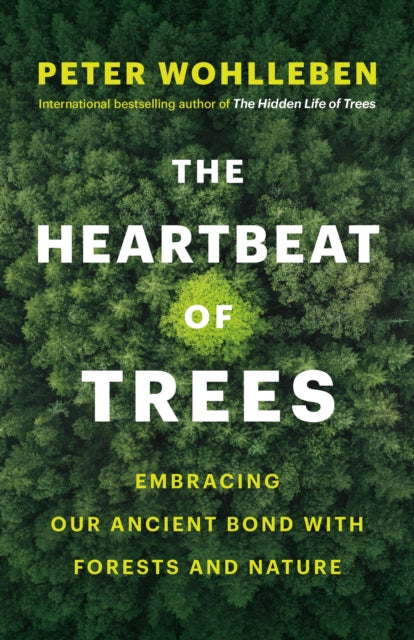 Heartbeat Of Trees