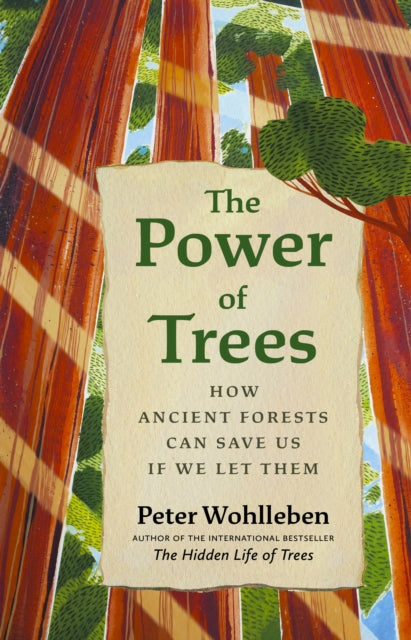 Power Of Trees