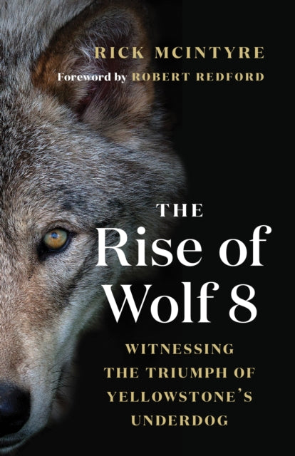 Rise Of Wolf 8