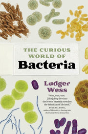 Curious World Of Bacteria