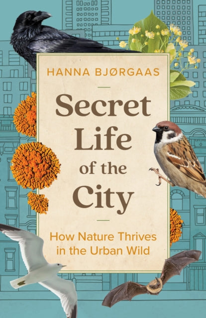 Secret Life Of The City By Bjorgaas, Hanna