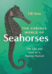 Curious World Of Seahorses