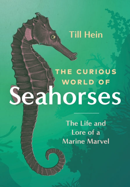 Curious World Of Seahorses