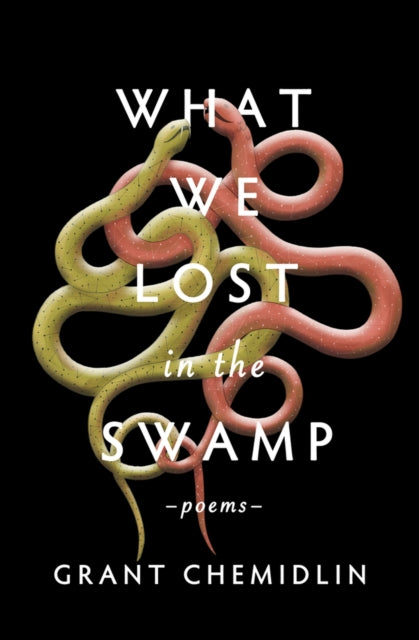 What We Lost In The Swamp Pa
