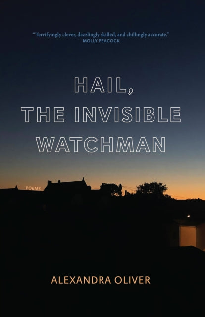 Hail The Invisible Watchman