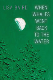 When Whales Went Back To The Water