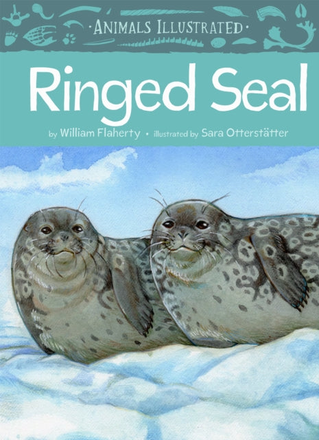 Animals Illustrated Ringed Seal