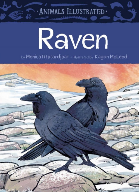 Animals Illustrated Ravens