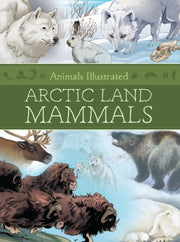 Animals Illustrated Arctic Land Mammal