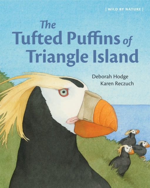 Tufted Puffins Of Triangle Island