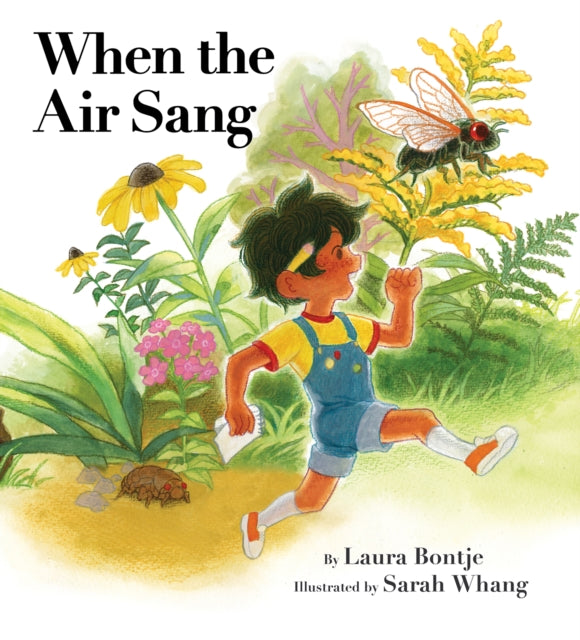 When The Air Sang