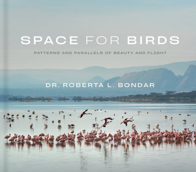 Space For Birds