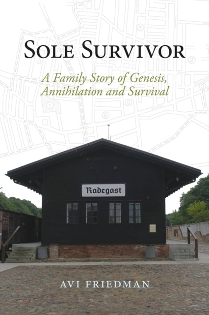 Sole Survivor By Friedman, Avi