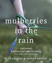 Mulberries In The Rain