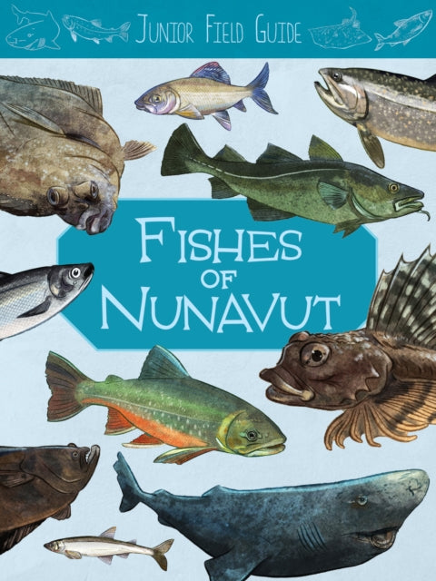 Junior Field Guide Fishes Of Nunavut