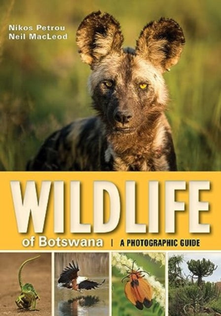 Wildlife Of Botswana