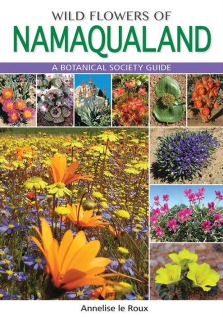 Namaqualand South African Wild Flowers 1