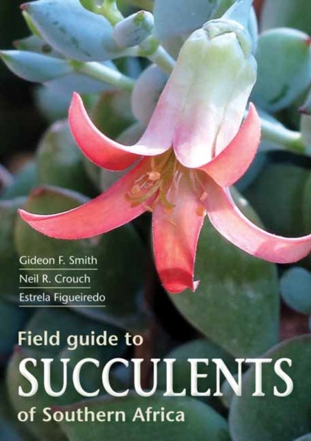 Field Guide To Succulents Of Southern Af By Smith, Gideon