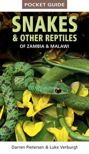 Pocket Guide To Snakes Other Reptiles Of