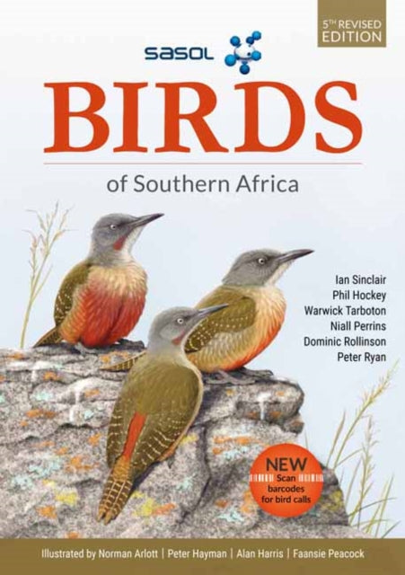 Sasol Birds Of Southern Africa Lg By Sinclair  Ian