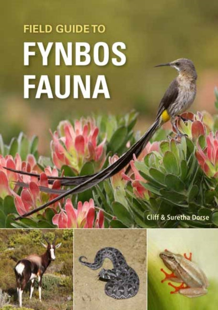 Field Guide To Fynbos Fauna By Dorse Cliff
