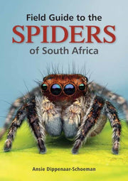 Field Guide To The Spiders Of South Afri By Dippenaar-schoeman A