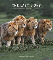 Last Lions