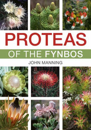 Proteas Of The Fynbos By Manning, John