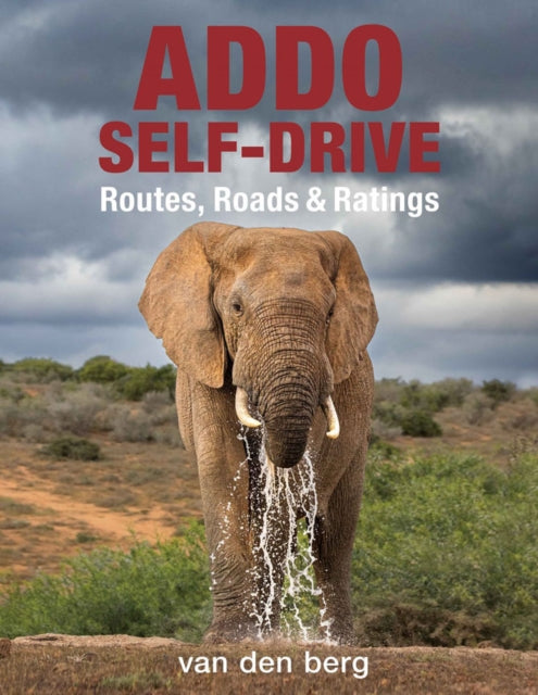 Addo Selfdrive