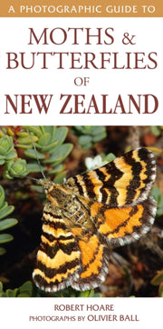 Photographic Guide To Moths Butterfli By Robert Hoare