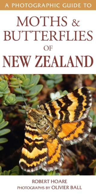 Photographic Guide To Moths Butterfli By Robert Hoare