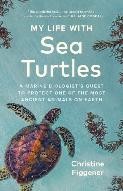 My Life With Sea Turtles