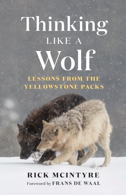 Thinking Like A Wolf