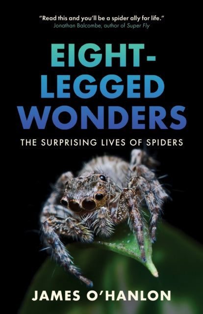 Eight Legged Wonders
