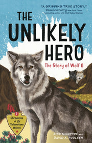 Unlikely Hero
