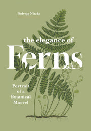 Elegance Of Ferns