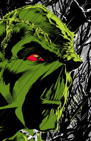 Absolute Swamp Thing By Len Wein & Berni