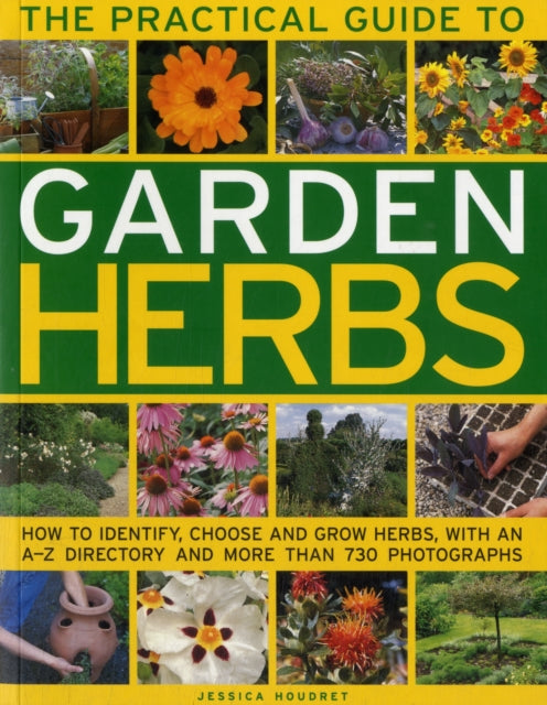Garden Herbs