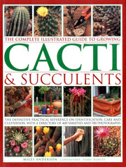 Cacti & Succulents