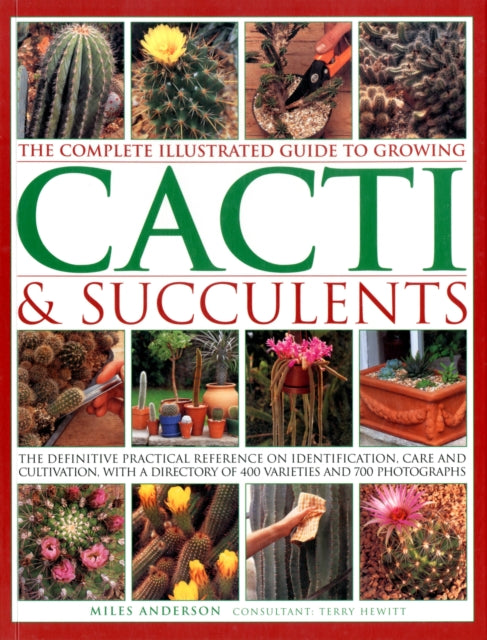 Cacti & Succulents