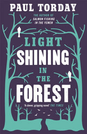 Light Shining In The Forest