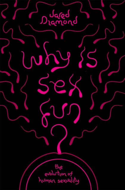 Why Is Sex Fun