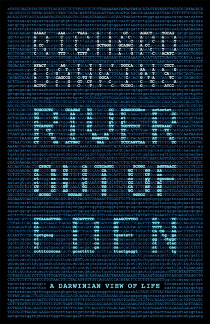 River Out Of Eden By Dawkins, Richard