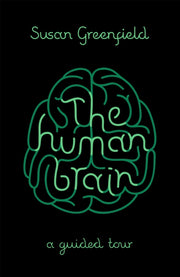 Human Brain