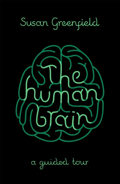 Human Brain