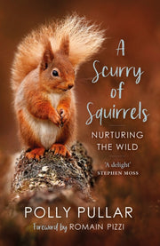 Scurry Of Squirrels